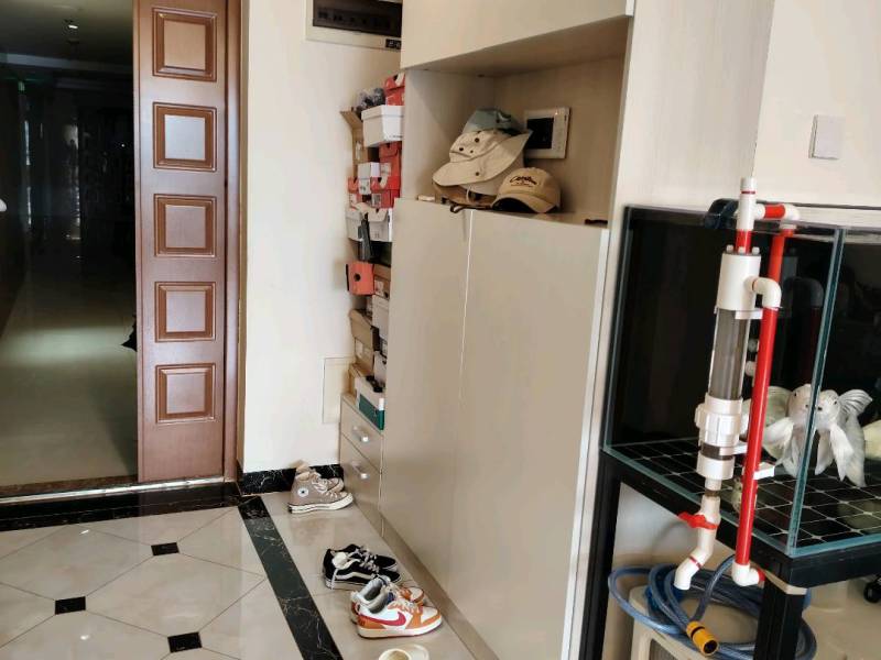 3室2廳1陽臺(tái) 中天城天闊門廳