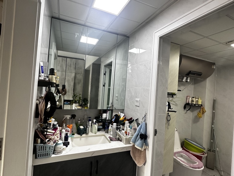 1室1廳1陽(yáng)臺(tái) 葵花公社衛(wèi)生間