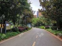 3室2廳2陽臺 新亞洲星云園其他