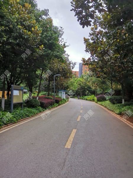 3室2廳2陽臺 新亞洲星云園其他