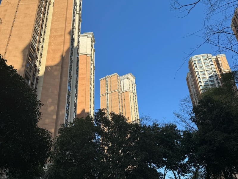 2室2廳2陽臺 新亞洲星辰園其他