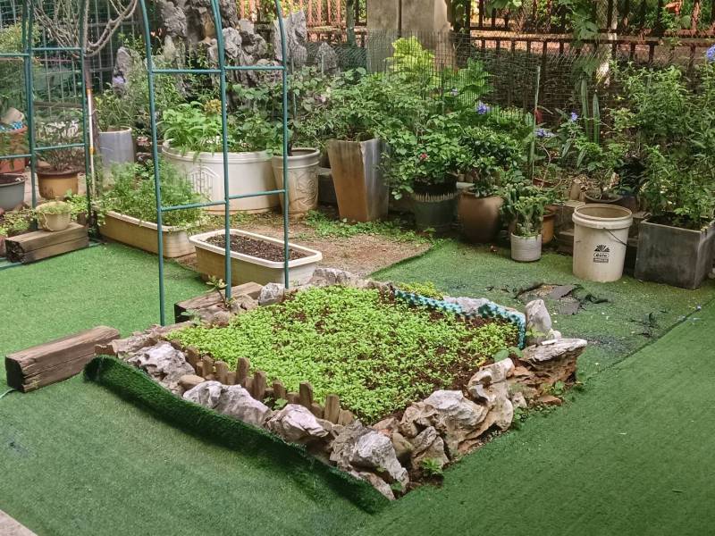 4室2廳2陽臺 天澤園自家花園