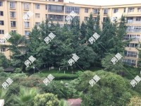 3室2廳2陽臺 時(shí)代風(fēng)華二期其他