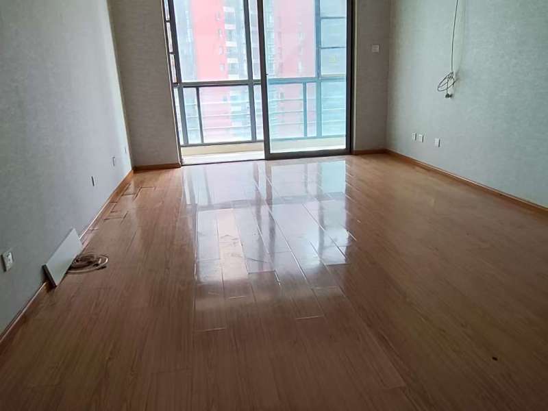 1室1廳1陽臺 經(jīng)典雙城一期客廳