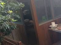 4室2廳2陽臺 天澤園自家花園