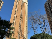 2室2廳2陽臺 新亞洲星辰園其他