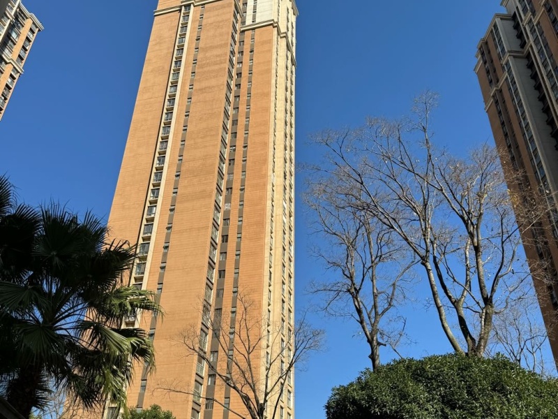 2室2廳2陽臺 新亞洲星辰園其他