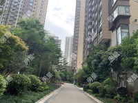 3室2廳1陽臺 新希望希望匯其他