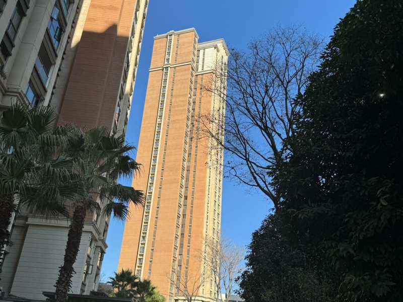 2室2廳2陽臺 新亞洲星辰園其他