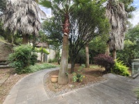 8室5廳4陽臺 世博生態(tài)城半山鄰里別墅自家花園