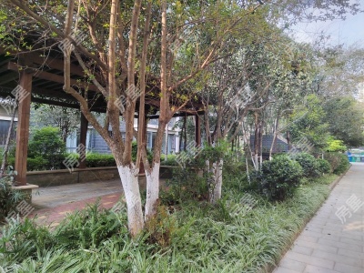 4室2廳1陽臺 邊防家園