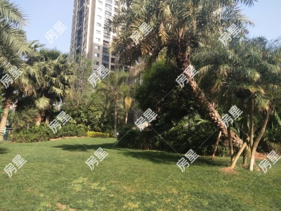 3室2廳 魅力之城一期