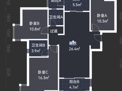 3室2廳1陽臺 金地九樾