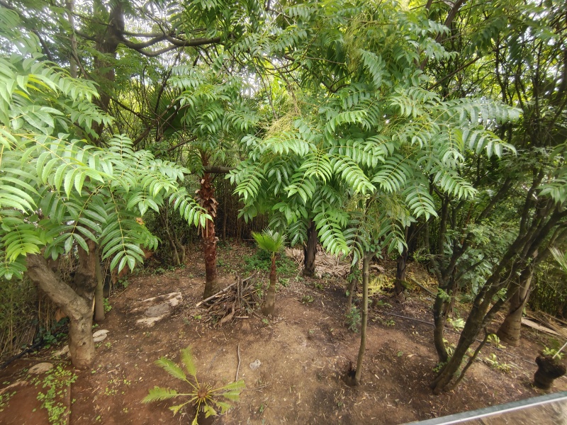 8室5廳4陽臺 世博生態(tài)城半山鄰里別墅自家花園