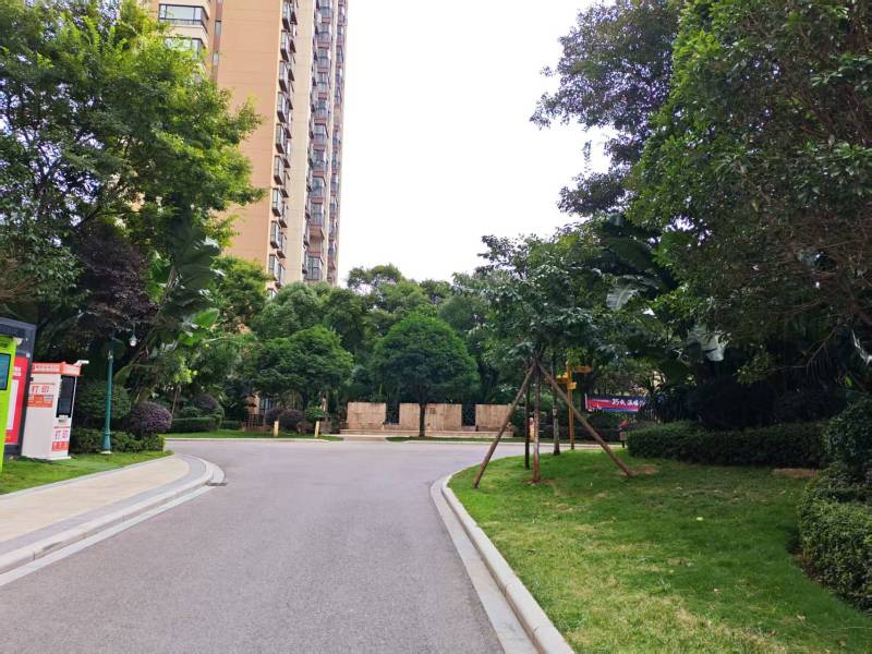 2室2廳1陽(yáng)臺(tái) 金科陽(yáng)光里其他