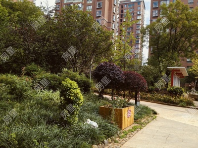 3室2廳1陽臺 第三城丹槿園