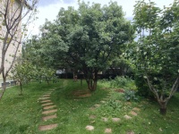 6室2廳5陽(yáng)臺(tái) 滇池高爾夫別墅別墅自家花園