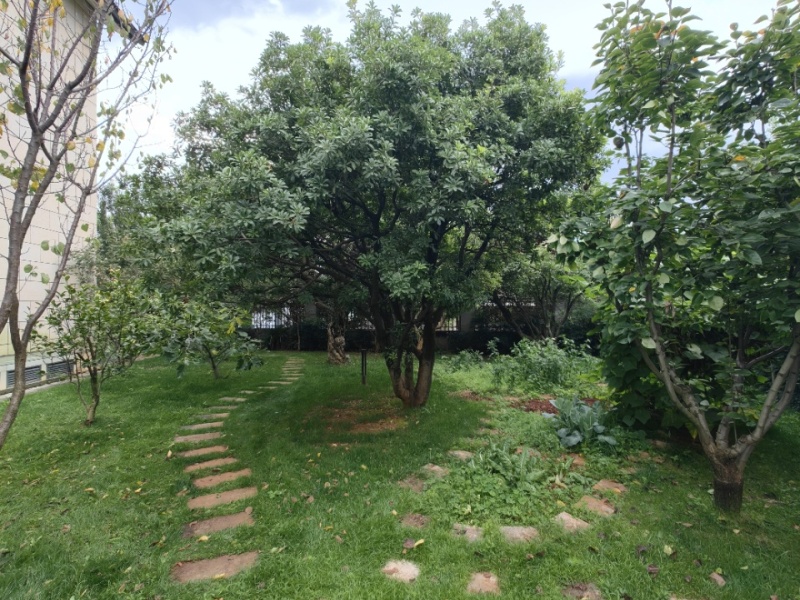 6室2廳5陽(yáng)臺(tái) 滇池高爾夫別墅別墅自家花園