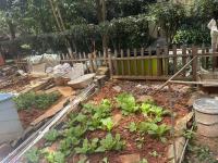 4室2廳3陽臺(tái) 時(shí)代風(fēng)華二期自家花園