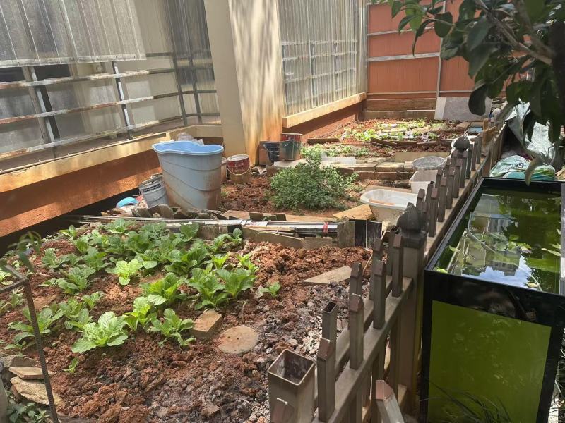 4室2廳3陽臺(tái) 時(shí)代風(fēng)華二期自家花園