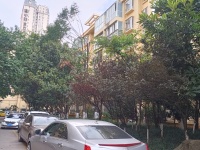 4室2廳3陽臺(tái) 時(shí)代風(fēng)華二期其他