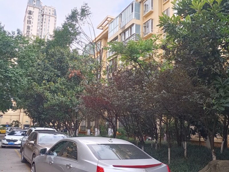 4室2廳3陽臺(tái) 時(shí)代風(fēng)華二期其他