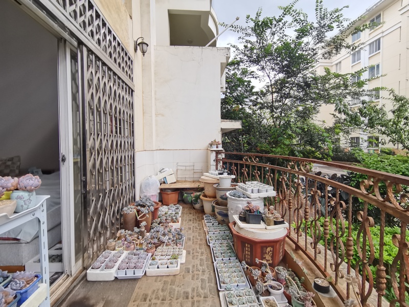 5室2廳2陽臺 云大小區(qū)陽臺