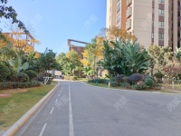 3室2廳 金科陽(yáng)光里其他