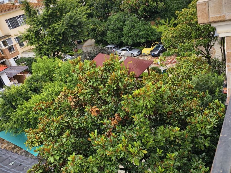 4室2廳4陽臺 玫瑰灣小區(qū)別墅自家花園