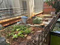 4室2廳3陽臺(tái) 時(shí)代風(fēng)華二期自家花園