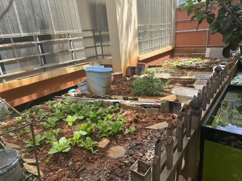 4室2廳3陽臺(tái) 時(shí)代風(fēng)華二期自家花園