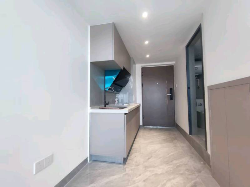 1室1廳1陽(yáng)臺(tái) 龍湖錦粼天序公寓門廳