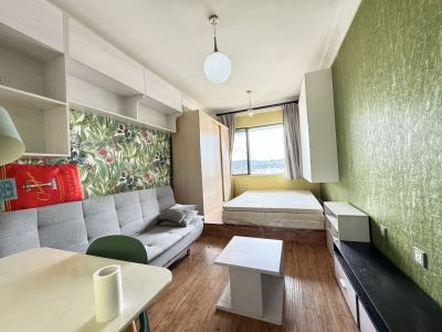 1室1廳1陽(yáng)臺(tái) 南亞未來(lái)城