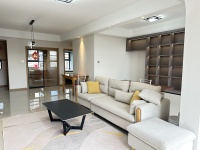 3室1廳1陽臺 大華公園天下時光園客廳