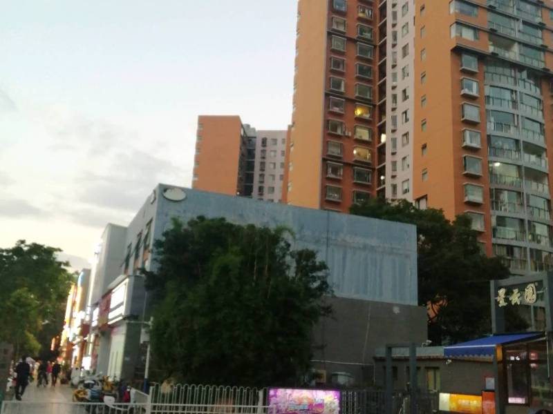 4室2廳2陽臺(tái) 新亞洲星云園自家花園