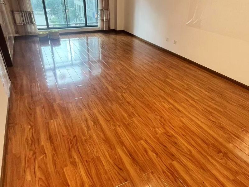 4室2廳1陽臺 金尚俊園二期客廳