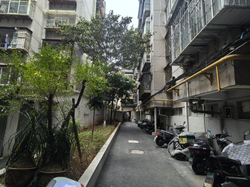 2室2廳 華山東路96號其他