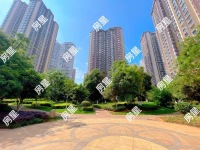 3室2廳1陽臺 新希望希望匯其他