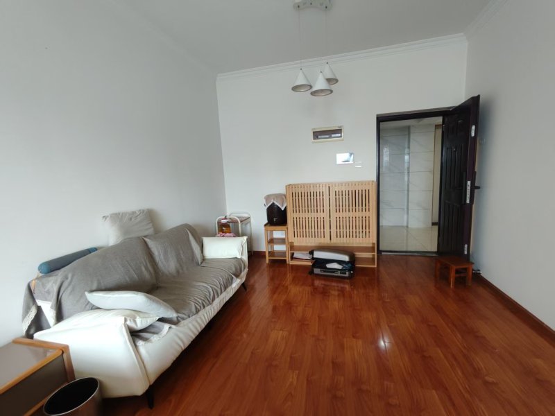 1室1廳1陽(yáng)臺(tái) 中房路易公元客廳