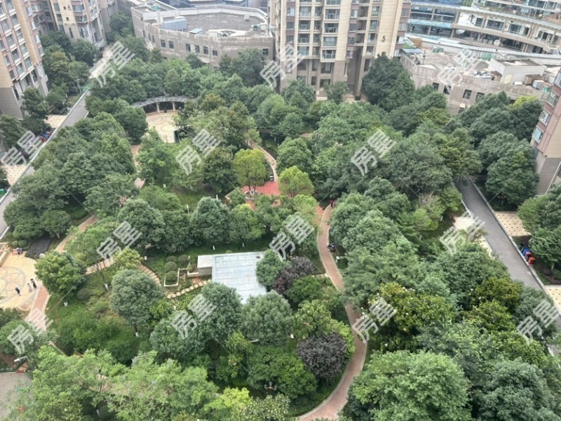 3室2廳1陽臺 新希望希望匯其他