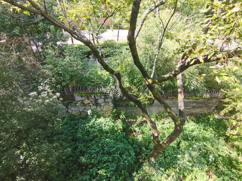 6室2廳3陽臺 溪麓南郡別墅自家花園