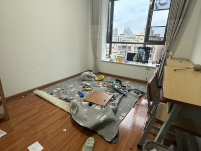 3室2廳2陽(yáng)臺(tái) 麗水雅苑