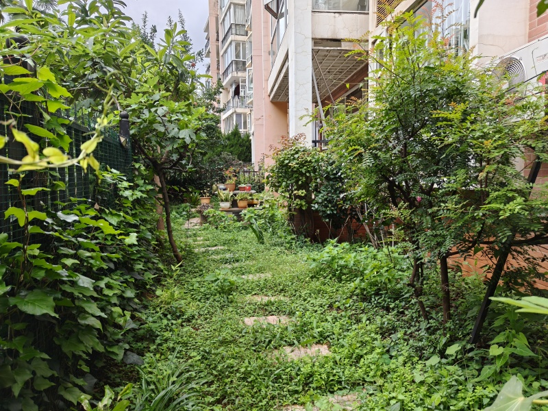 4室2廳3陽臺(tái) 百大國(guó)際花園自家花園