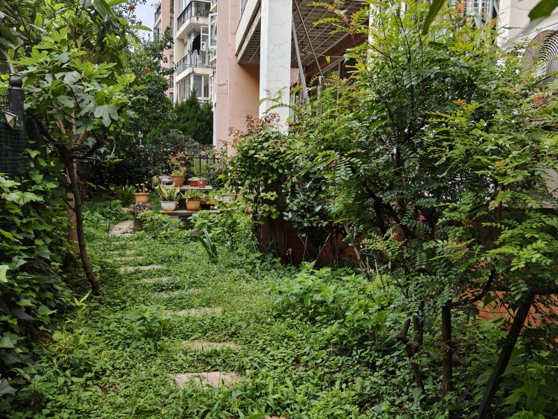 4室2廳3陽臺(tái) 百大國(guó)際花園自家花園