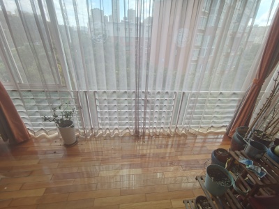 4室2廳4陽臺 金水灣