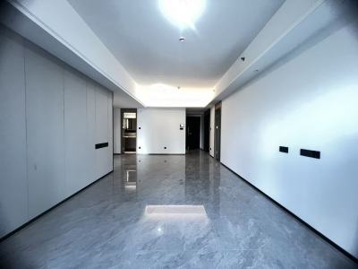 3室1廳1陽臺(tái) 金地十一峯