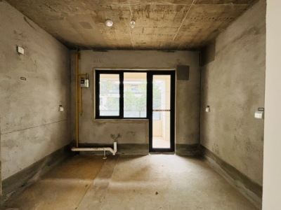 4室2廳2陽臺 金科江湖海