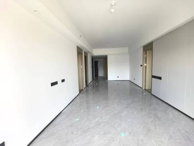 3室2廳 金地十一峯