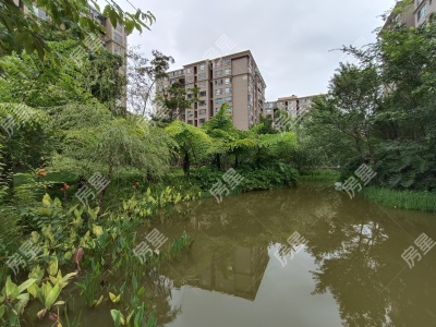 3室2廳2陽臺(tái) 西南海天璽苑