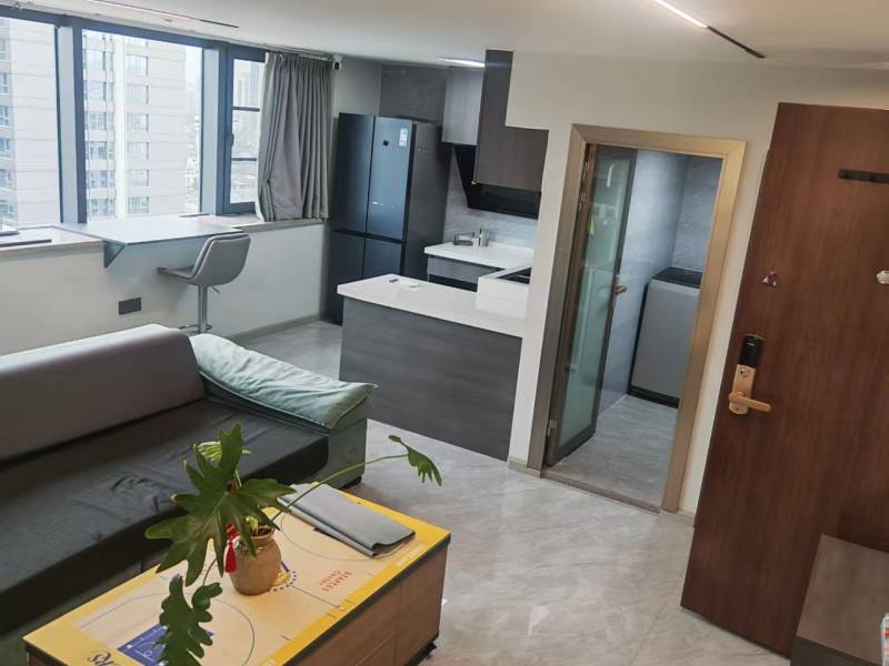 2室2廳1陽臺 巫家壩金茂廣場公寓客廳